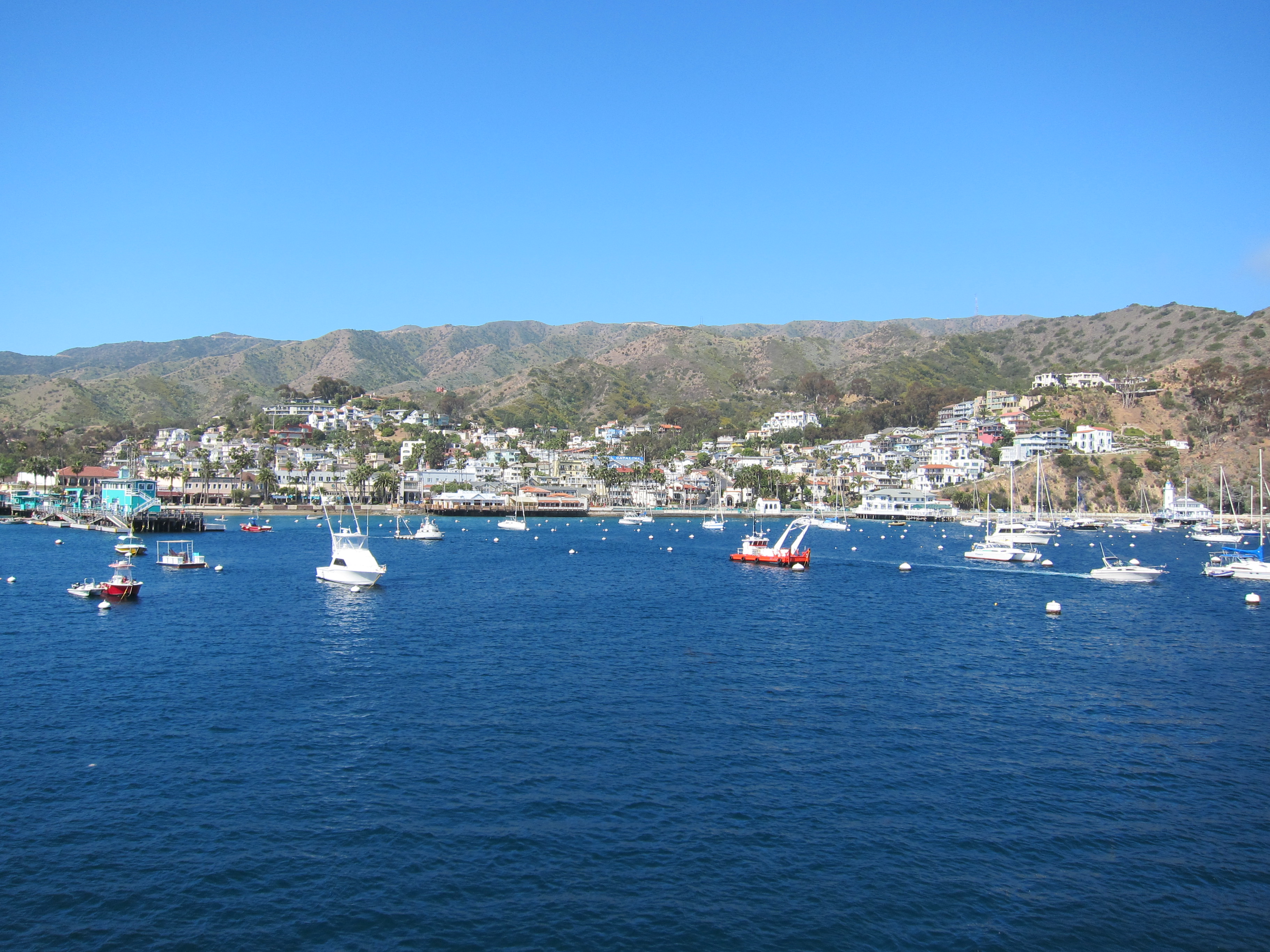 snorkeling in catalina island