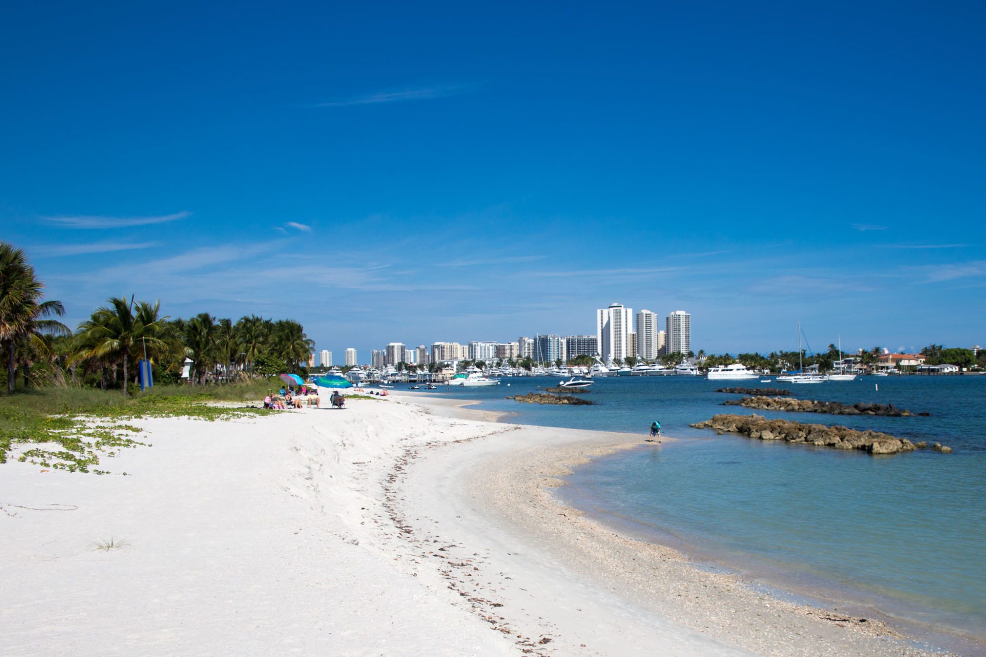 Snorkeling in Peanut Island - Delightful and Accesible!