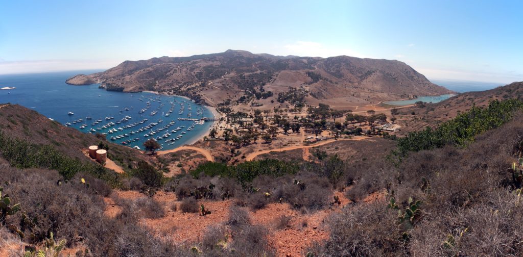 snorkeling catalina island two harbors