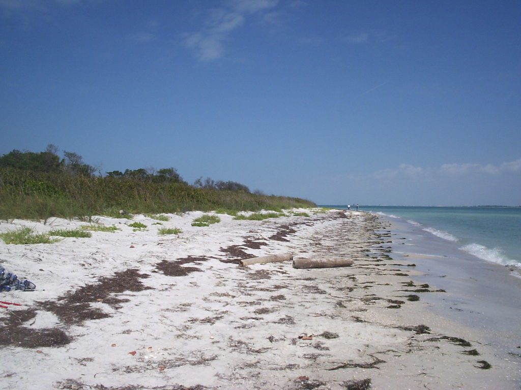 snorkeling in tampa egmont key