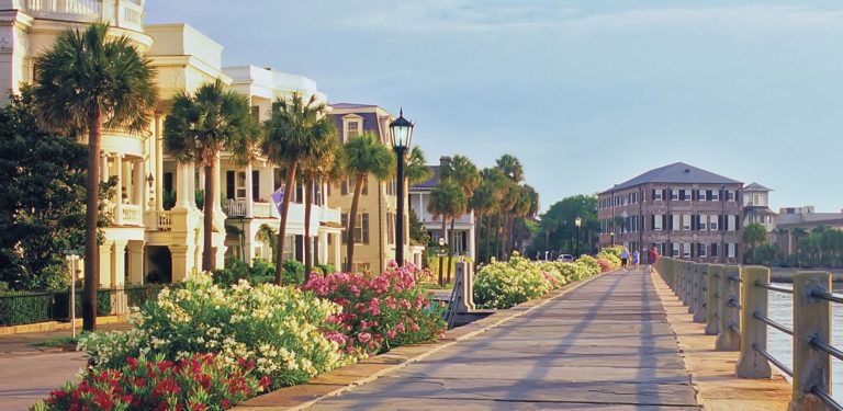 Snorkeling In Charleston: Poor Visibility So Stay On Land