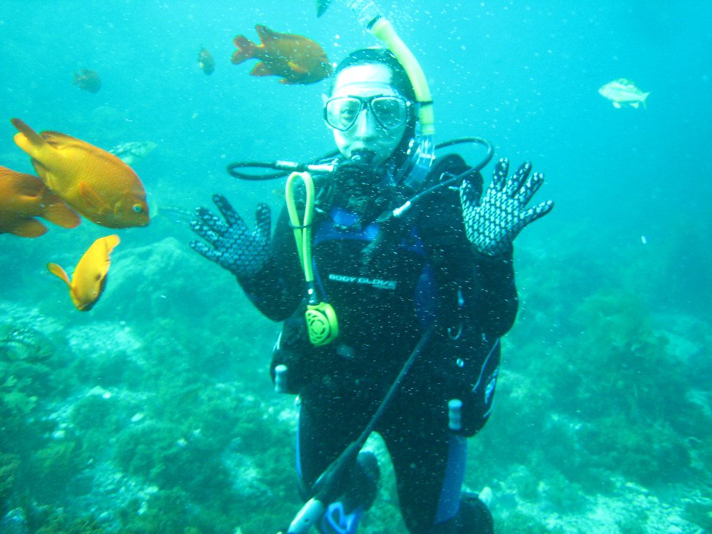 snorkeling in catalina island casino point dive park