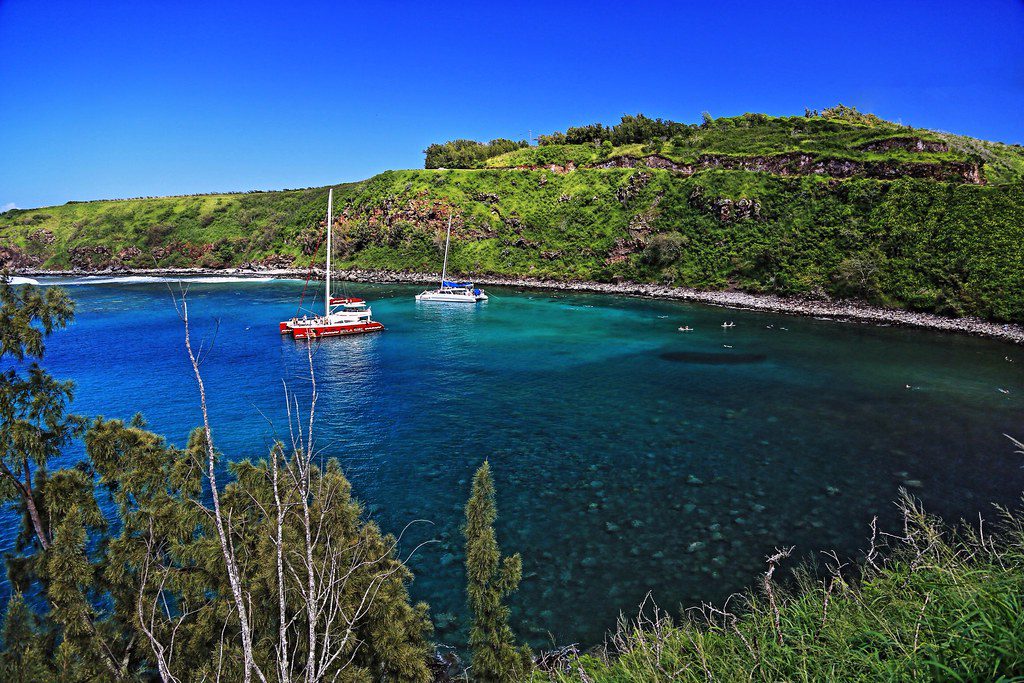 snorkeling in honolua bay