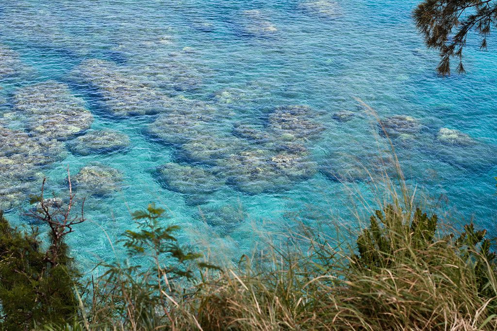 snorkeling in honolua bay water visibility