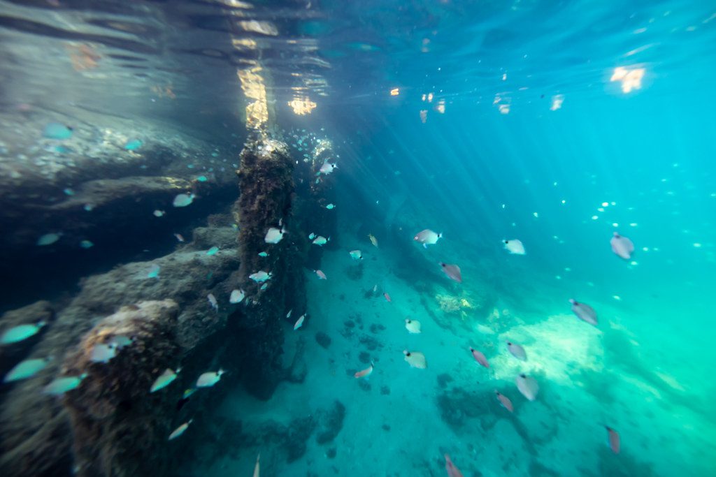 snorkeling in jupiter inlet lighthouse